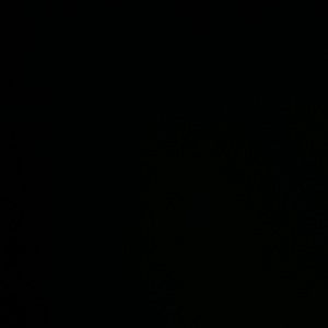 2022 Boots - Black Bamboo rhinestone embellished combat boot